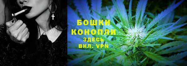 молекула духа Медвежьегорск